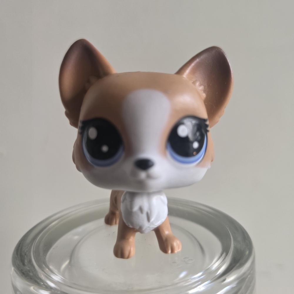 3/$22 BLOSSOM CORGO WITH BLUE EYES#1-119 LITTLEST PET SHOP.